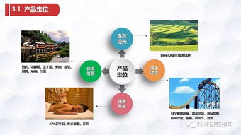 张家界龟仙谷旅游景区开发项目商业计划书
